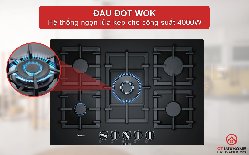 Đầu đốt WOK với hệ thống ngọn lửa kép giúp nấu nướng nhanh chóng.