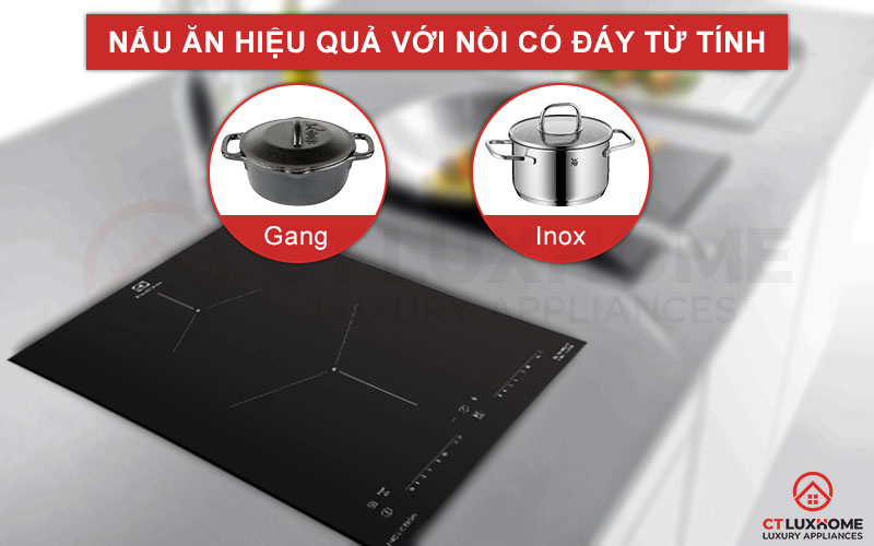 Lựa chọn nồi nấu phù hợp khi bếp chỉ tiếp nhận nồi chảo có đáy từ tính