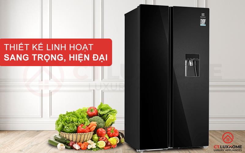 Tủ lạnh Electrolux ESE6645A-BVN sở hữu thiết kế Side by Side hiện đại và sang trọng